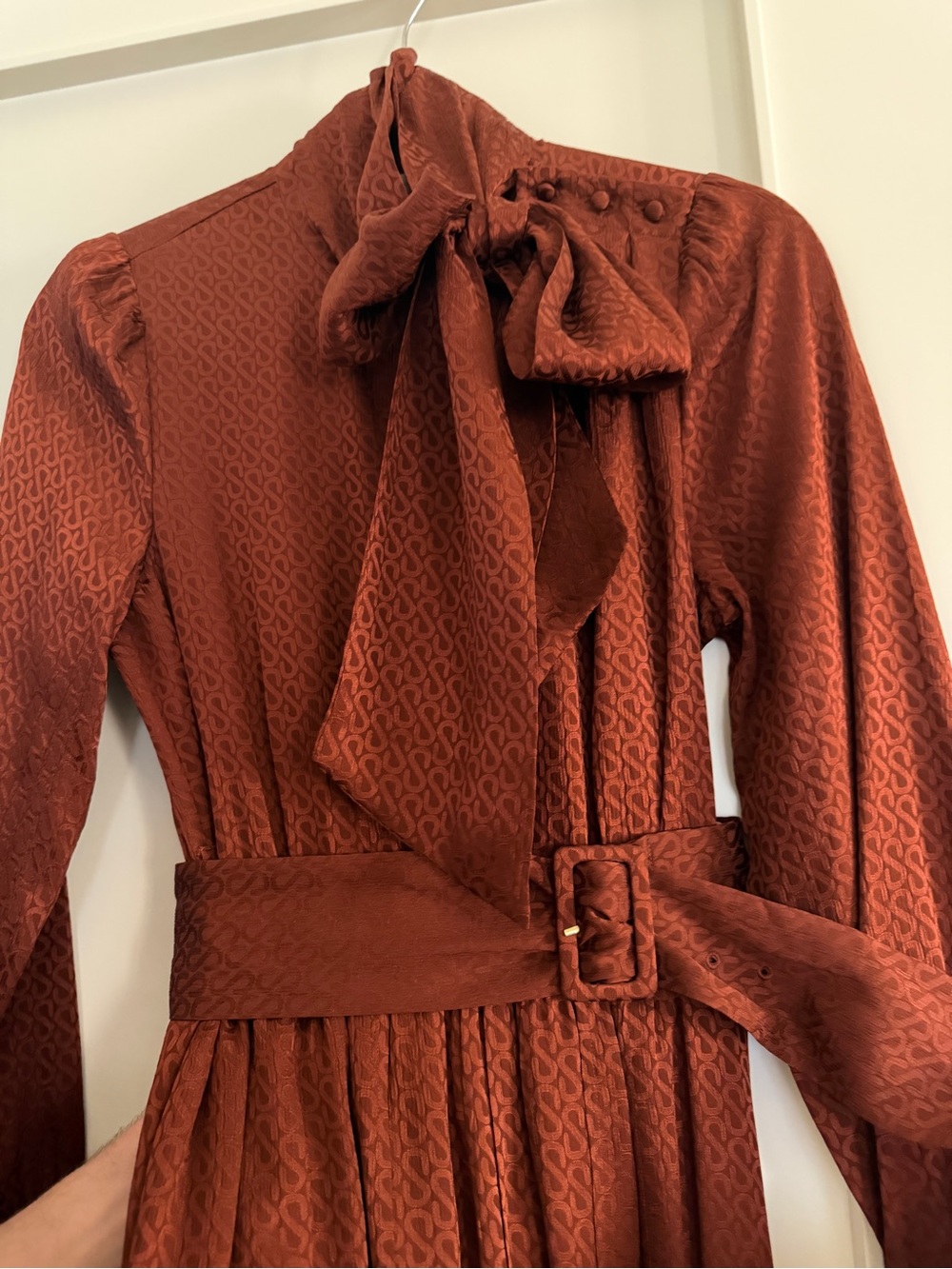 Sezane rare silk Rust Red brown Long-Sleeve Tie-Neck Dress with Belt 34 US 2